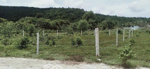 bán đất gần biển ông lang, sổ cầm tay