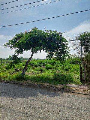 cho thuê đất mặt tiền thạnh thới long hòa cần giờ