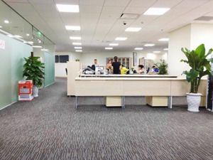tòa building mt lý thường kiệt - dtsd 1500m2 - 7 lầu - dòng tiền hơn 4 tỷ /năm