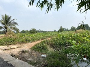 bán đất vị trí đẹp dt 350m2 có 100m2 thổ cư đường lê chí dân, tp thủ dầu một, bình dương. giá mềm