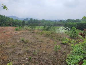 bán trang trại, khu nghỉ dưỡng tại bắc sơn, sóc sơn, hà nội, 4,5 triệu / m2, 1300 m2