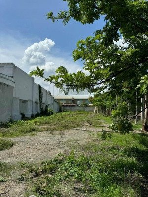 gia đình kẹt bán gấp lô đất 340m2 kẹp giữa 2 căn nhà, ngay trảng bàng, giá 550 triệu