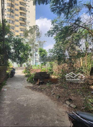 bán lô đất 50,6/55m2 đối diện chung cư thanh đàm, ô tô vào đất, gần trường chợ.