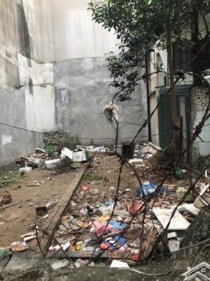 đất vàng hồ tùng mậu, ngõ đẹp, gần phố.