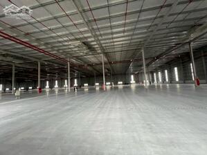 Cho thuê nhà xưởng mới xây dựng huyện Tân Phước, tỉnh Tiền Giang.