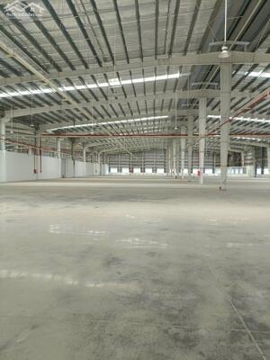 CHO THUÊ NHÀ XƯỞNG TRONG KCN BÌNH DƯƠNG – TIÊU CHUẨN CAO, PHÙ HỢP DOANH NGHIỆP LỚN! Liên hệ ngay: 0366.632.092 (Zalo/Call) để xem xưởng thực tế & nhận tư vấn chi tiết!