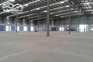 Bán Nhà Xưởng Sản Xuất Dệt Nhuộm 15.000 M2 Trong Kcn Hải Sơn, Long An