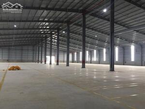 Cho thuê kho xưởng sản xuất nhiều ngành nghề khu công nghiệp Tiền Giang.