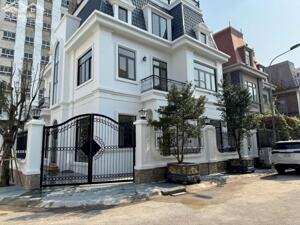 BÁN BIỆT THỰ GẦN BIG C THĂNG LONG 4X TỶ 164M2 XÂY 4,5 TẦNG CÓ HẦM ĐƯỜNG HÈ 12M Biệt thự 164m², mặt tiền 8,5m giá 43,5 tỷ