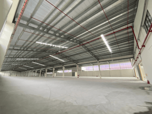 TRỐNG NHÀ XƯỞNG 3000M2 QUỐC LỘ 1A, GIÁ TỐT CHỈ 150 TRIỆU