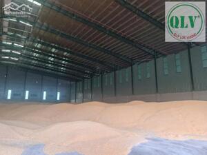 Cho thuê cụm kho diện tích 100.000m2 Tại KCN Phú Mỹ, TT. Phú Mỹ, Bà Rịa - Vũng Tàu