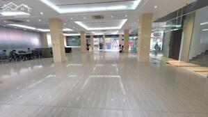 Cho thuê mặt bằng VIP 170m2 và 150m2 mặt phố Dương Khuê kinh doanh, làm văn phòng tốt