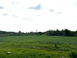  Bán 1000m2 Tân Tiến Gần Biển Giá Ngộp