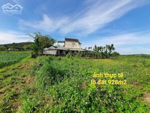 Bán lô đất 928M2, Tịnh Ấn Đông, đường ô tô, Giá 1,580 tr, thương lượng mạnh