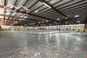 Cho Thuê Kho Mới Xây Cụm Cn Long An, Kv: 20.000M2, Xd: 5.000M2 - 10.000M2, Pccc Tự Động Thẩm Duyệt