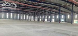 CHO THUÊ KHO, XƯỞNG Tại KCN THANH OAI. HÀ NỘI