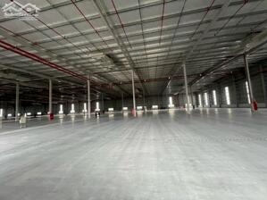 Cho thuê nhà xưởng KCN tại Tân Phước, Tiền Giang