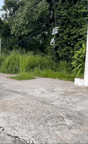 Đất nền THỔ CƯ tại Ấp Suối Đá, Dương Tơ, Phú Quốc giá SIÊU RẺ