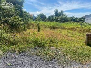 BÁN ĐẤT THỔ CƯ VẠN THẠCH NINH XUÂN NINH HÒA