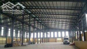 Cho thuê nhà xưởng KCN tại Tân Phước, Tiền Giang
