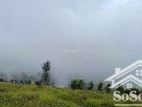bán đất farmstay view thung lũng tà đùng, đắk nông