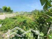 bán gấp lô đất dân diên tân diên khánh