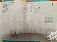 bán nhà mặt phố tại xã hồng bạch, đông hưng, thái bình, 2,3 tỷ, 181,6 m2 view đẹp uy tín