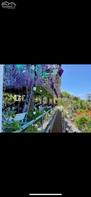 Cho Thuê Mặt Bằng Hải Đăng, Hạ Long Vũng Tàu – 1000m², Giá 50 Triệu, Kinh Doanh Đa Nghề