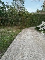 1 mẫu cao su minh thành 71m mặt tiền đường 36