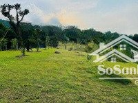 e có từ 1000 đất vườn giá rẻ tại đông xuân, quốc oai chỉ cách bigc 35km cho các bác yêu thích làm v