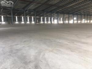 Cho Thuê Kho Xưởng Mapletree Tại Kcn Vsip Ii, Thủ Dầu Một, Bình Dương