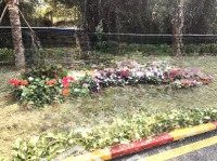 bán khu nghỉ dưỡng tại đường phú mãn, quốc oai, hà nội, giá nhỉnh 6 tỷ