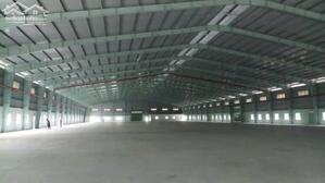 Cho thuê kho xưởng tại Gò Dầu, Tây Ninh.