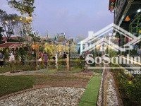 tiếc nhưng phải bán biệt thự nhà vườn do chuyển chỗ ở