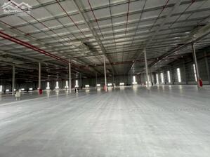 Cho thuê kho xưởng sản xuất nhiều ngành nghề khu công nghiệp Tiền Giang.