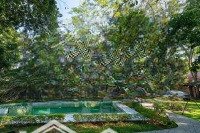 bán khu nhà vườn gồm 3 biệt thự sang trọng, bể bơi lớn, gần trung tâm hn, khu vực tiềm năng