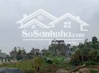 bán đất thị trấn tân phong thanh hóa giá rẻ