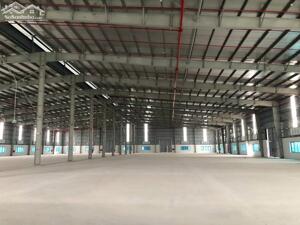 Cho thuê nhà xưởng mới xây dựng tại huyện Tứ Kỳ - Hải Dương