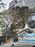 chủ hạ cực sốc 4 tỷ ,bán nhanh toà nhà văn phòng,mặt phố ,thanh xuân,vỉa hè siêu to,kinh doanh đỉnh