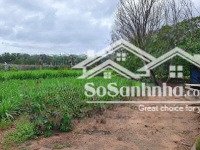 bán đất tại xã hòa hội, xuyên mộc, bà rịa vũng tàu, 3,5 tỷ, 1800 m2
