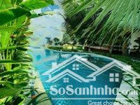 biệt thự vườn trung tâm, phường phú mỹ. gần phạm ngọc thạch, 10p ra mỹ phước tân vạn. giá 34.8tỷ