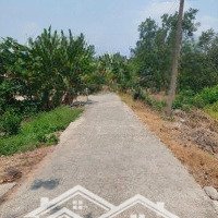 bán gấp nhà vườn đường ô tô tới nhà xã bình tịnh huyện tân trụ. long an