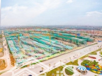 căn biệt thự tam lập góc đẹp nhất cổ loa 283m2 giá chỉ 88 tỷ lh: 0911051289