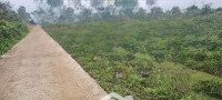 bán 7200m2 đất nhà vườn tại lương sơn, hòa bình