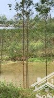 bán đất tại đường tỉnh lộ 294, 8 tỷ, 10,000 m2, view đẹp, giá siêu hời, yên thế, bắc giang