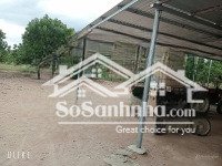 đất trang trại xoài úc 8ha tại hòa sơn, ninh thuận
