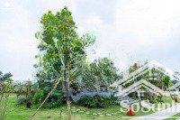 bán gấp biệt thự hà nội tropical garden, 14 tỷ, 250m2, 5pn, 4wc, 3 tầng, hot
