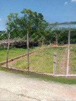 bán đất nền 225m2 tại xã đại hiệp, đại lộc, quảng nam, 590 triệu vnd, chính chủ uy tín