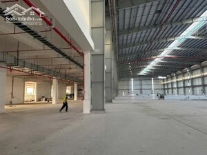 Cho thuê xưởng 28000m2 KCN Huyện Củ Chi, Tp HCM