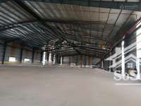 cho thuê kho tiêu chuẩn logistics tại đà nẵng dock leverler hiện đại, vị trí chiến lược